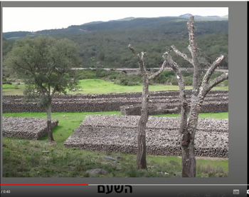 ראו:תעשיית השעם של סרדיניה