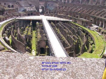 Colloseo8