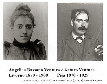 Arturo angelica.jpg