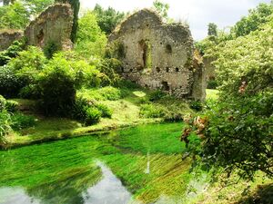 Giardino di Ninfa 79