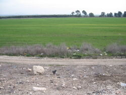 West izrael valley 7.JPG