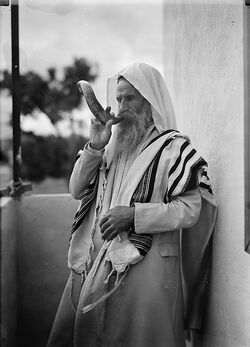 Shofar-Sabbath-Horn-Yemenite-Jew