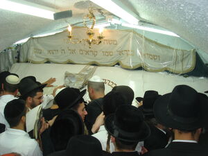 SHMOEL A212