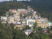 Domaro en McLeod Ganj