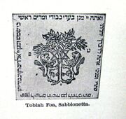 Tobiah Foa Sabbionetta