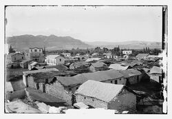 View of Jericho and the Jericho Hotel