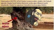 Turchia1-460x258.jpg