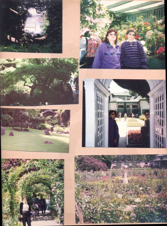 Toronto garden.jpg