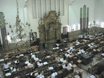 Poinivitz.jpg (90 ק"ב) מראה כללי