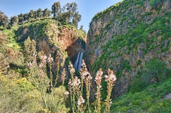 Hatanur Waterfalls Metula.jpg (2.34 מ"ב)