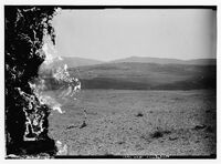 Bet shemesh.jpg (162 ק"ב) מבט לעבר שפלת יהודה