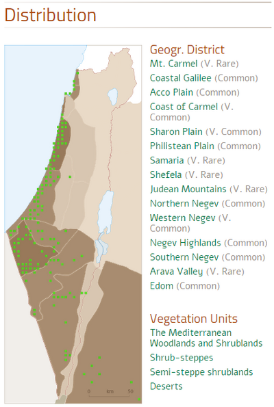 Flora of israel