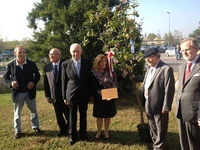 237213260 gg.jpg (64 ק"ב)