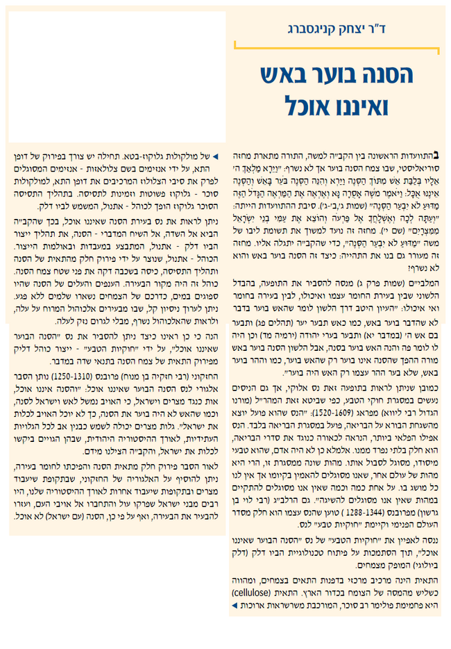 הסנה 1.png