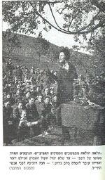 Hana robina.jpg