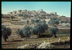 Givon arab village