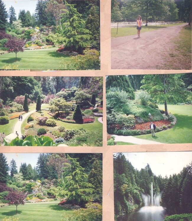 The butchart gardens 2.jpg