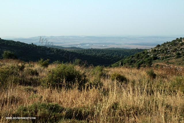 מבט לדרום - מזרח : באופק אום אל פחם