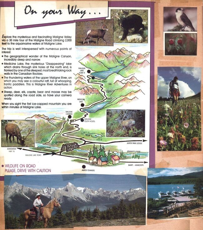 Maligne Valey.jpg