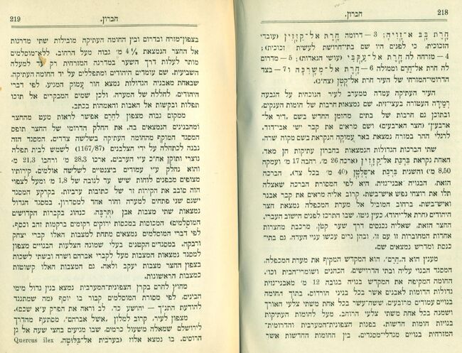 סיור בחברון 1921