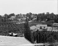 מבט כללי 1936