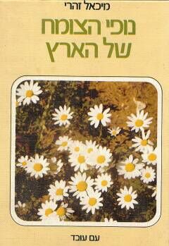 Nofe zomeach shel eretz israel.jpg