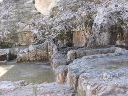  צילמה:תמר הירדני