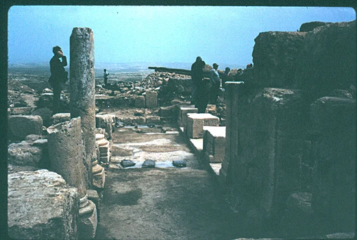 מבט כללי - צילם:דניאל ונטורה