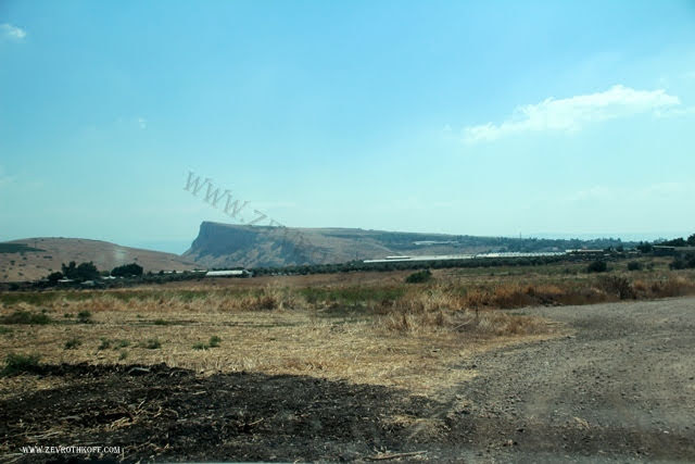 מצוקי ארבל