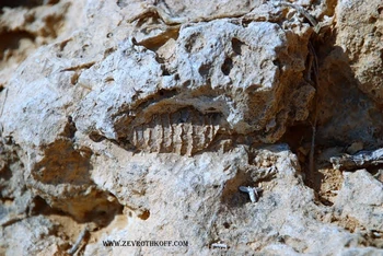 עוד מנחל תלול