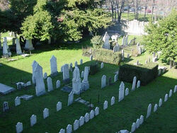 Bologna, Cimitero