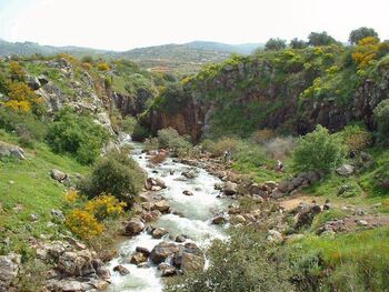 Nahal Sa'ar near Massade - Golan Heights