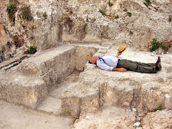  צילמה:תמר הירדני