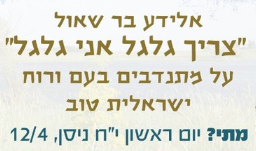 אלידע.png