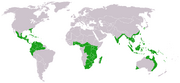 Cycads world distribution.png