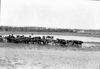 1941 המקור:ויקישיתוף באמצעות ארכיון התצלומים הלאומי - תמונות רבות  נוצרו על-ידי צלמי לשכת העתונות הממשלתי ובין השאר זולטן קלוגר