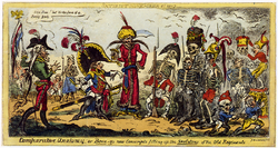 Cruikshank - Comparative Anatomy