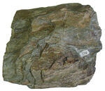 Chlorite schist