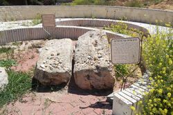 Harav eliau mani e