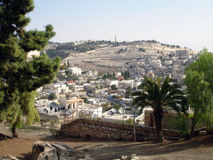 JPF-Ophel - City of David