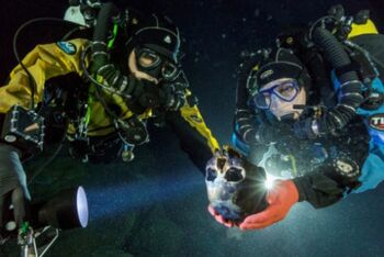Divers-460x307.jpg
