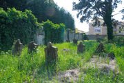 Il cimitero ebraico di Viadana