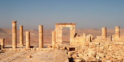 Avdat view to the Negev