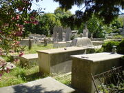 Cimitero Ebreo di Livorno 11