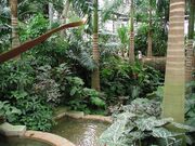 US botanic garden 2.jpg