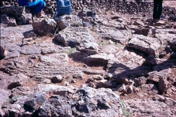 קילוחי  ברמת הגולן דמויי מקלעת חבלים (Ropy Lava) מכונים  גם "גללי פרה" 