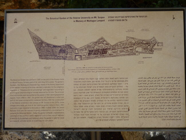 Botanical Garden on Mount Scopus 07.jpg