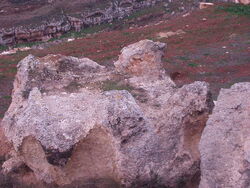 A Rock-Hewn Altar Near Shiloh1