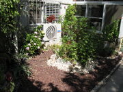 Garden in Kedumim Shomron 3.jpg
