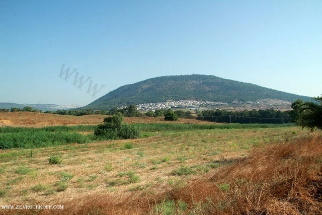 הר תבור ואום אל-ע'נם